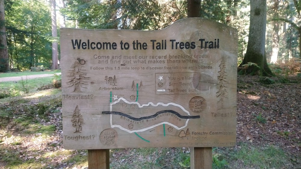 UK Moor- & Küstenreise photo 2